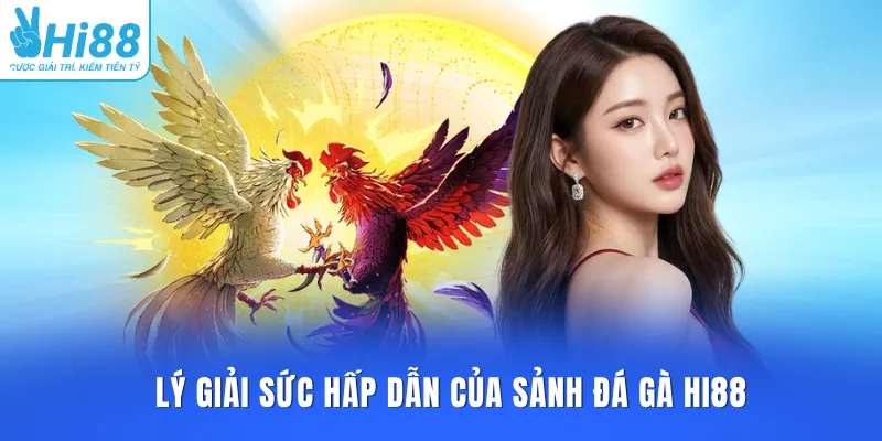 Lý giải sức hấp dẫn của sảnh đá gà HI88